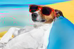 shutterstock_221852239